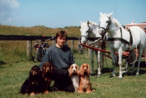 Urlaub auf Langeoog